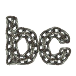 BackupChain logo
