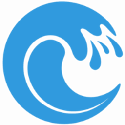 CleverOcean logo