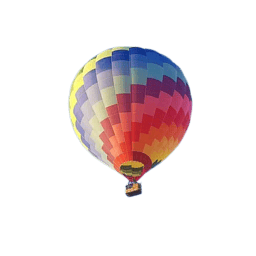 Redian Software LLC logo