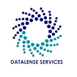 Datalense Services logo