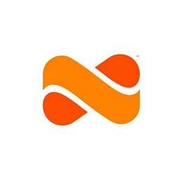 Netspend Skylight PayOptions logo