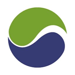 World Synergy logo