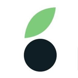 Mailberry logo