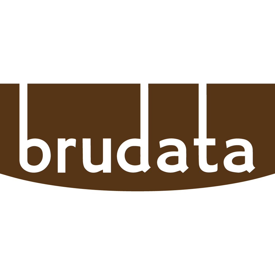 brudata.ai logo