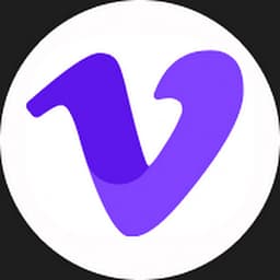 Translate.video logo