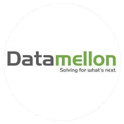 Datamellon logo