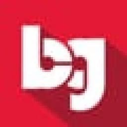 Borenstein Group, Inc. logo
