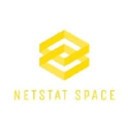Netstat Space logo