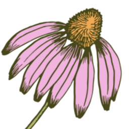 Subdream Studios logo