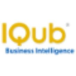 IQub Business Intelligence Reporting Solutions logo