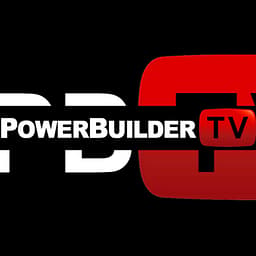 Powerbuilder logo