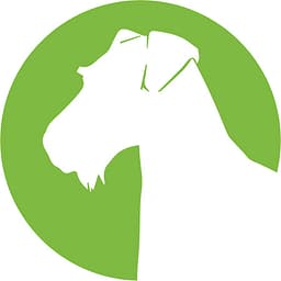 Aireforge Studio logo