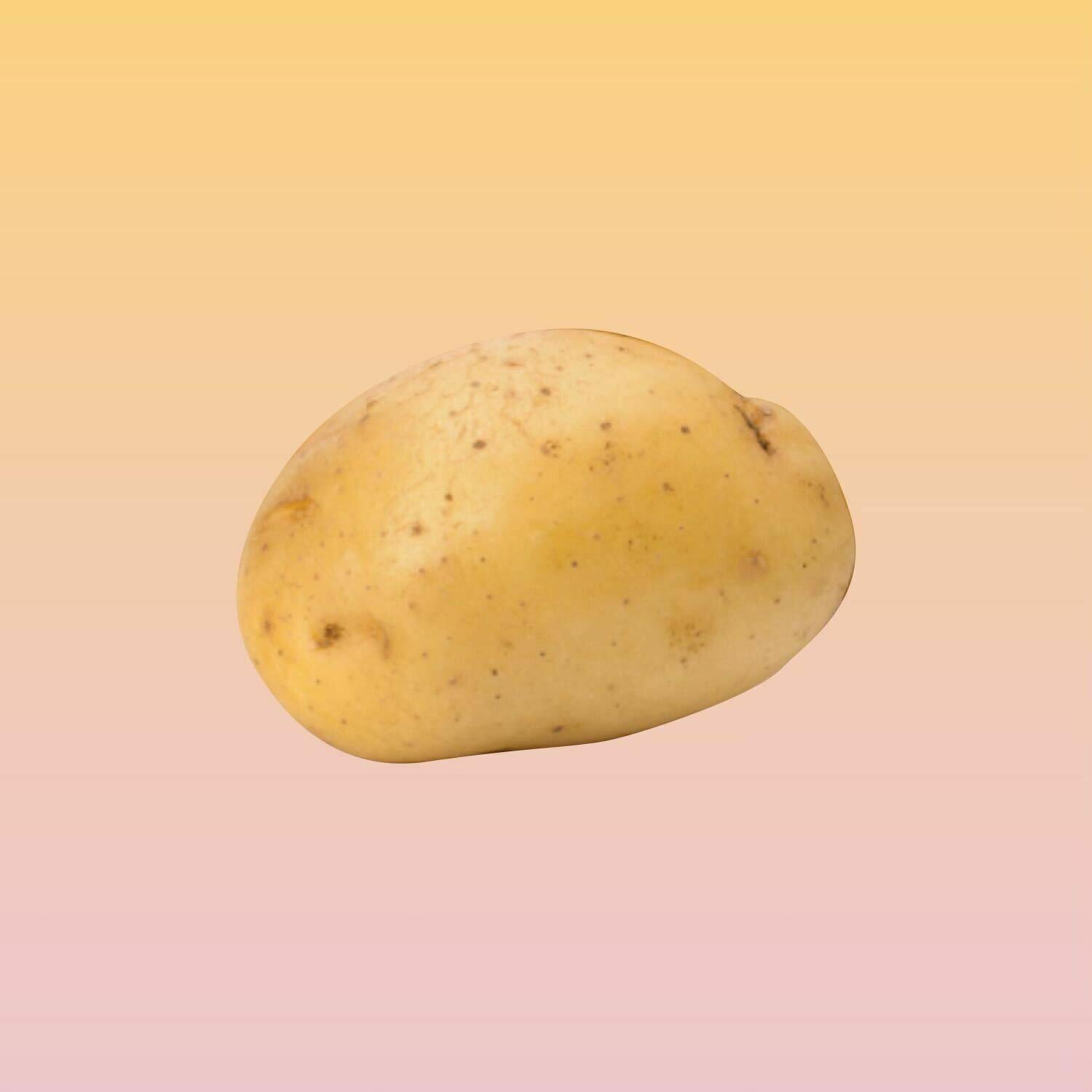 patato logo