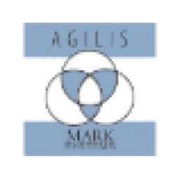 Agilis Systems logo