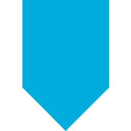Arcserve Replication and High Availability (RHA) logo