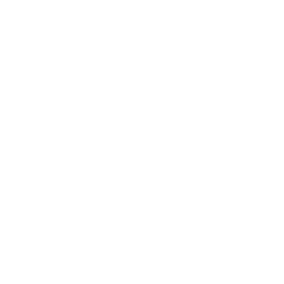 Purplepass logo