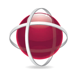 Project Risk Manager logo