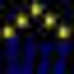 Five Star logo