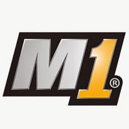 Manager SE logo