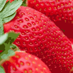 Free Food Photos logo