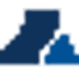 BlueDragon logo