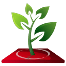 HQ Branches logo