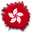aXmag logo
