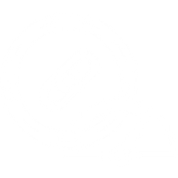 VMware Health Analyzer logo