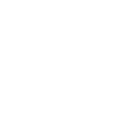 fler logo
