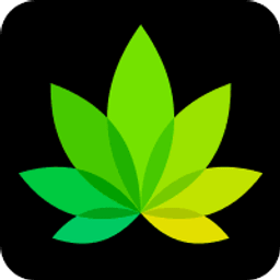IndicaOnline logo