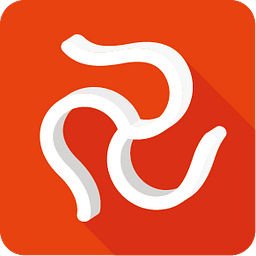 Safran Risk logo