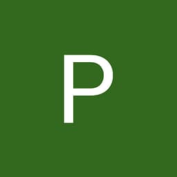 PASO Corporate Services logo