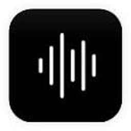 VoiceX logo