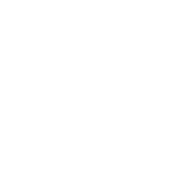 Piiano logo