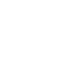 ASAO DS logo