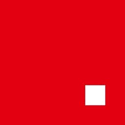 Right Information Development Services logo
