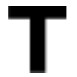 Techsign logo