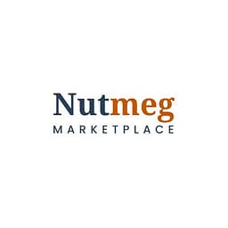 NetSymm logo