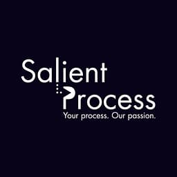 Salient Process, Inc logo