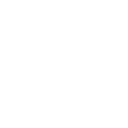 Facets Electrical logo