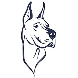 TopDawg logo
