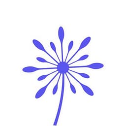 CUFinder logo