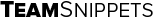 TeamSnippets logo