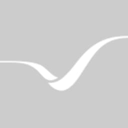 zenon logo