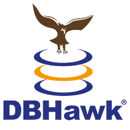 DBHawk logo
