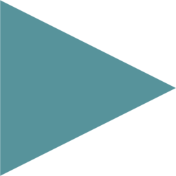 Intellectus Statistics logo