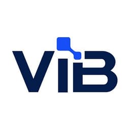 ViB.Tech logo