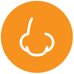 WPSNIFFER logo