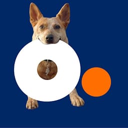 Audience Partners logo