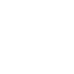 Cerberus logo